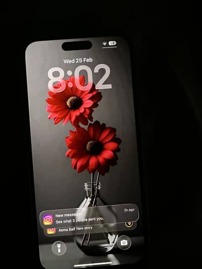 iPhone 15 pro max 256 GB bypass