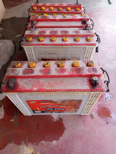 phoenix 2500 tubular