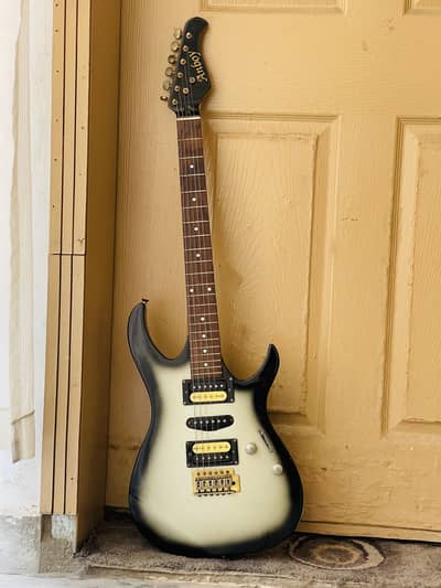 Anboy AN-25 Electric Guitar Maple Neck Rosewood Fretboard HSH Pickup