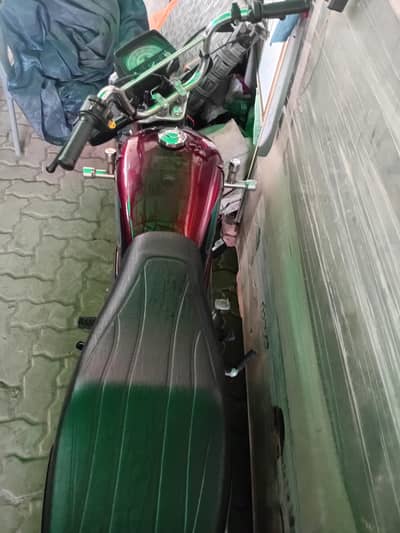 whatsapp 03046225498