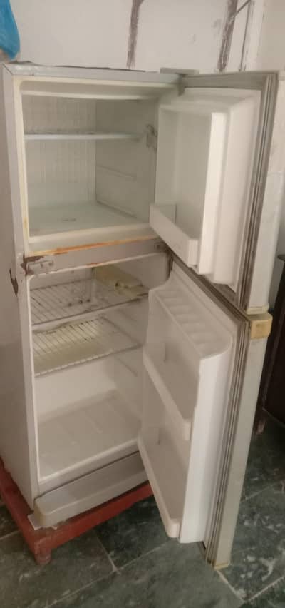 PEL Refrigerator