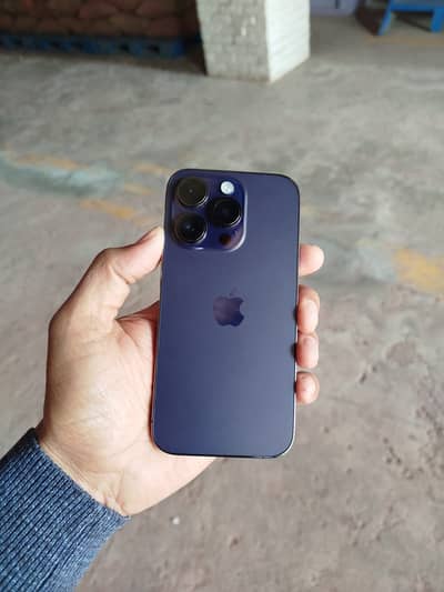 14 pro lush condition