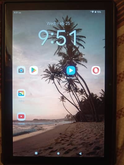 Maxwest Astro 10R (american)