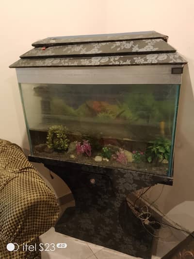 Fish Aquarium & Accessories