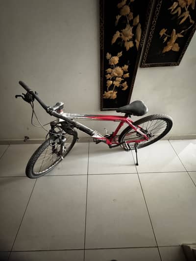 Porsche Dynamite 2.0