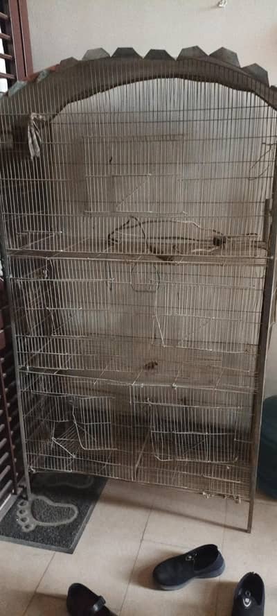 Cage for birds Urgent Sale
