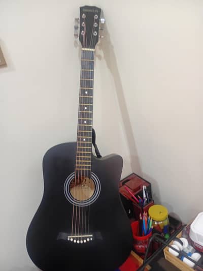 acoustic guitar