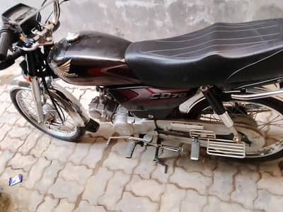 new candisn home usd