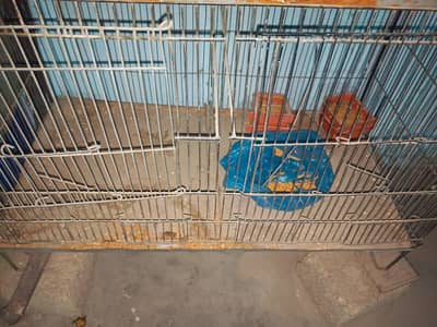 6 portion cage for sale