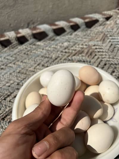 Alhumdullilah fresh desi eggs from our home farm are available
