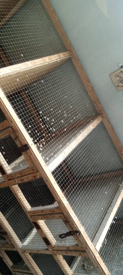 wooden birds cages 5 portion