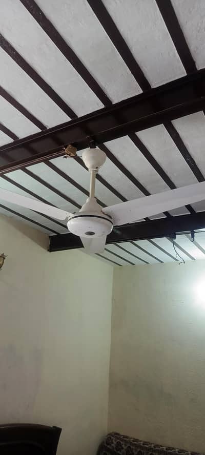 Indus copper cilling fan