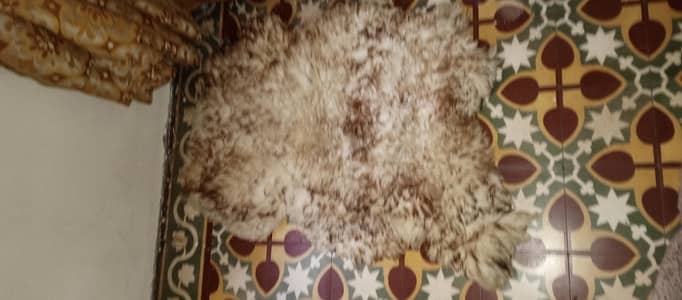 Different Rugs in Different Sizes