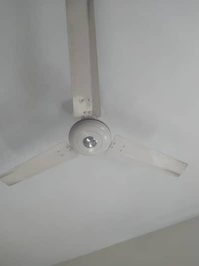 Ceiling Fan