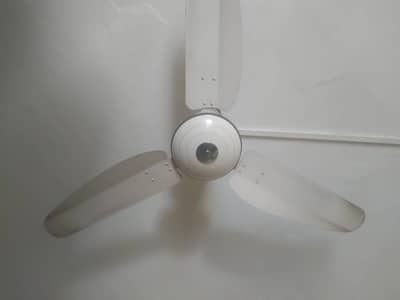 3 Ceiling Fans