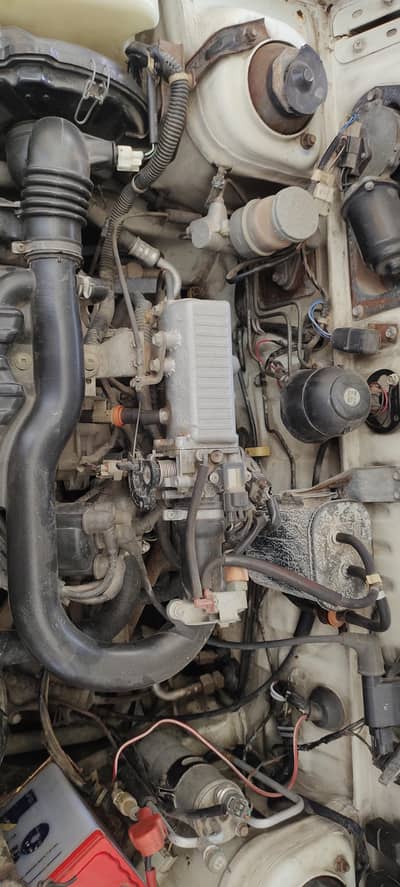 mara name pa ha totally jeanvan white clur