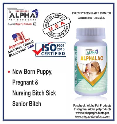 cats and dogs health and care