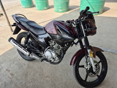 Ybr 125