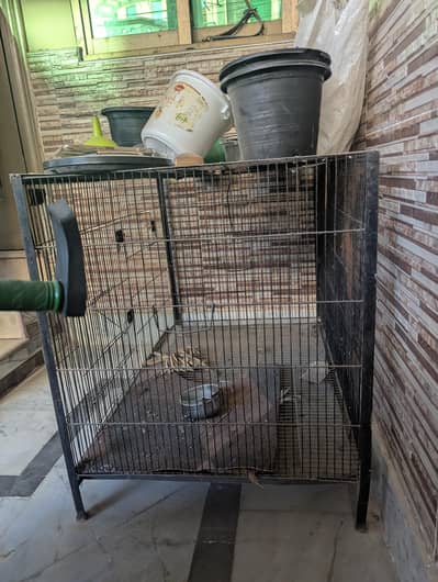 Alden Design 2x3 feet Cage with Slide-Out Tray and Wood Perches, Black