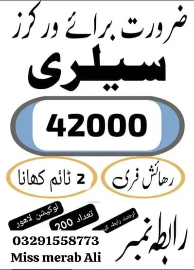 need urgent biscuits packing factory / office base hiring male female