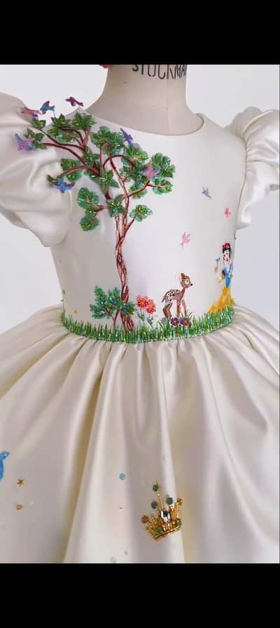 Desney Princess Theme customize Baby Dreams Frocks