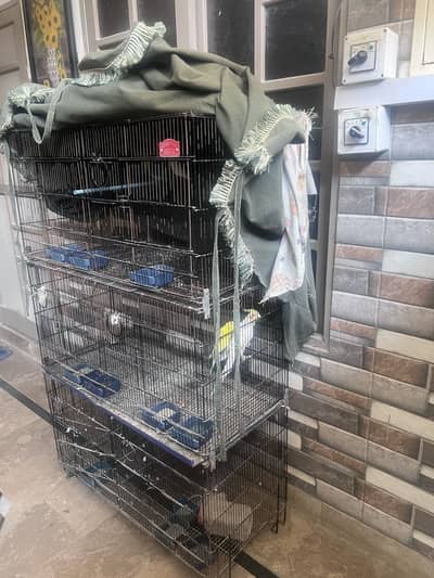 Birds cage