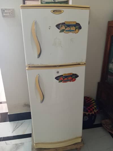 Waves Company Fridge for Sale
