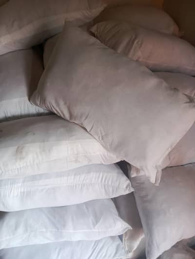 Saranay 1.3 kg weight