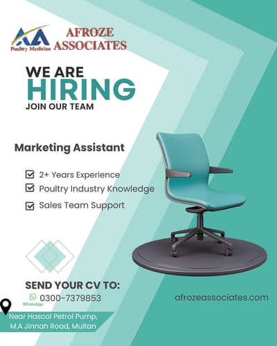 Marketing Assistant