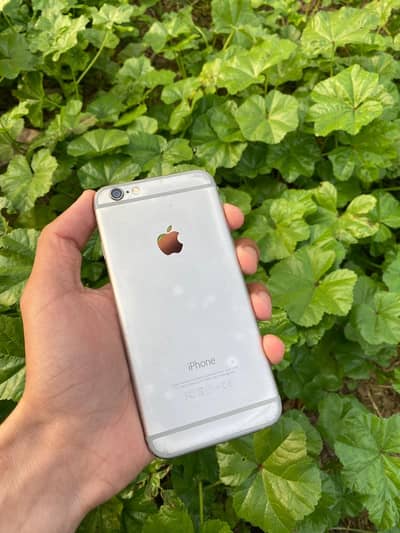 Pta aprove board only board ha mobile ka