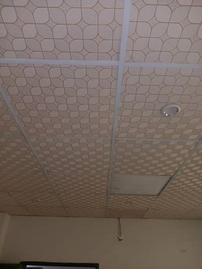 Used Gypsum Ceiling sheet size 2ft × 2ft qty 250 sft  – For Sale