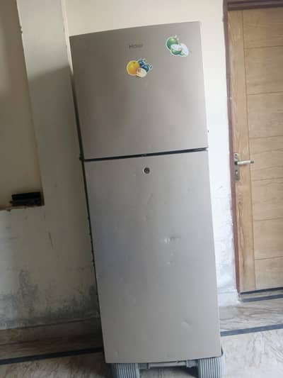 HAIR FRDGE FULL SIZE