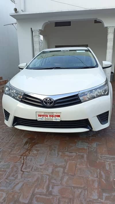 Gli 2017 white colour