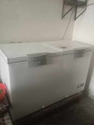 Dawlance frizrs all ok neo he abi 10/10 he full saiz