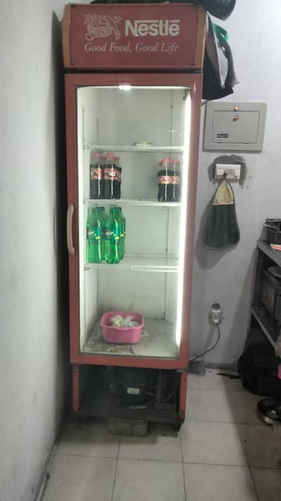 Nestle Display Refrigerator