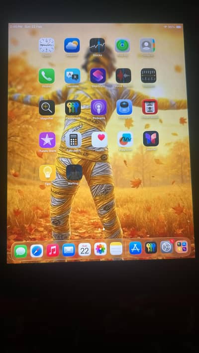 ipad mini 5 50k boxes charger