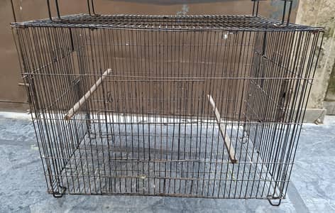 Ring neck . cocktail  Cages