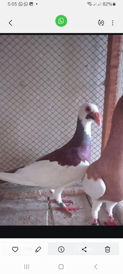 bridar pair  bleeding ki granti