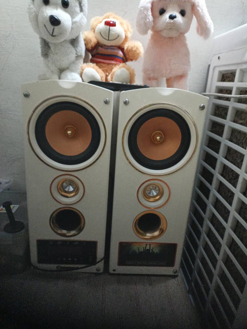 Audionic speaker 1