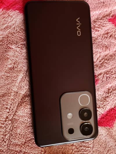 VIVO Y29 NOBEL BROWN CLR. 8 256 no scratch saf mobile. voc fast charger