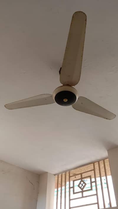 چھت والا پنکھا برائے فروخت