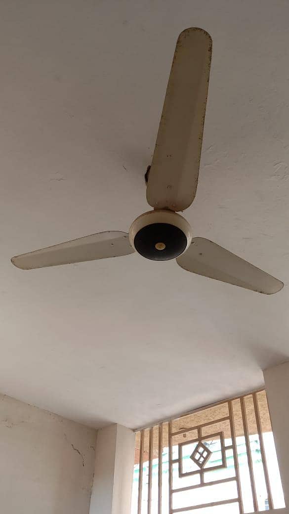 چھت والا پنکھا برائے فروخت 0