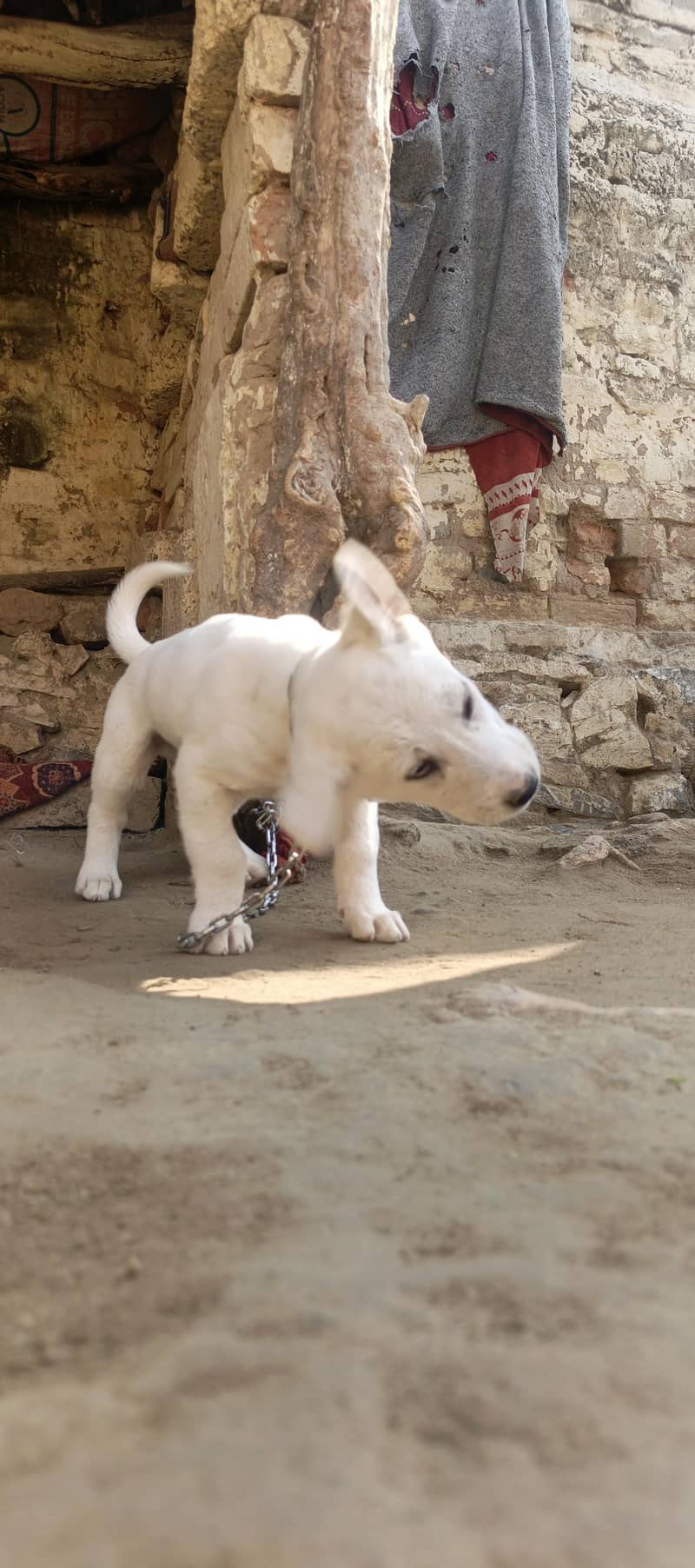 می ہوم problem 1