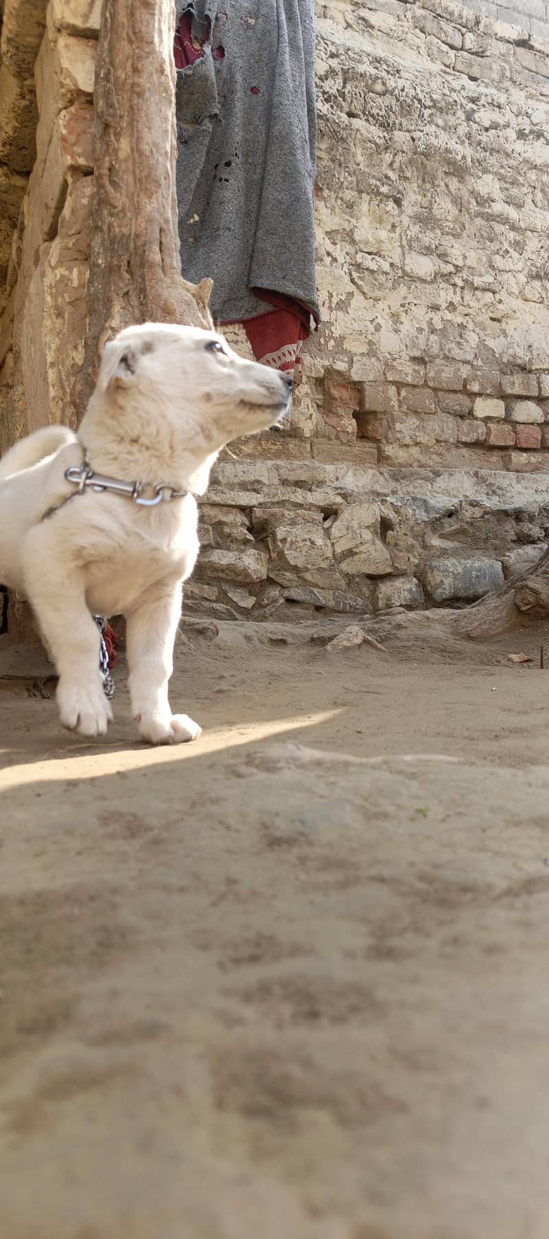 می ہوم problem 2