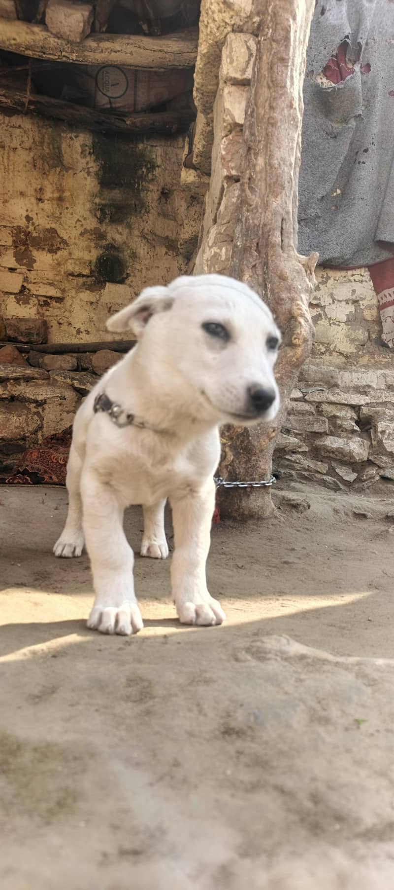 می ہوم problem 3