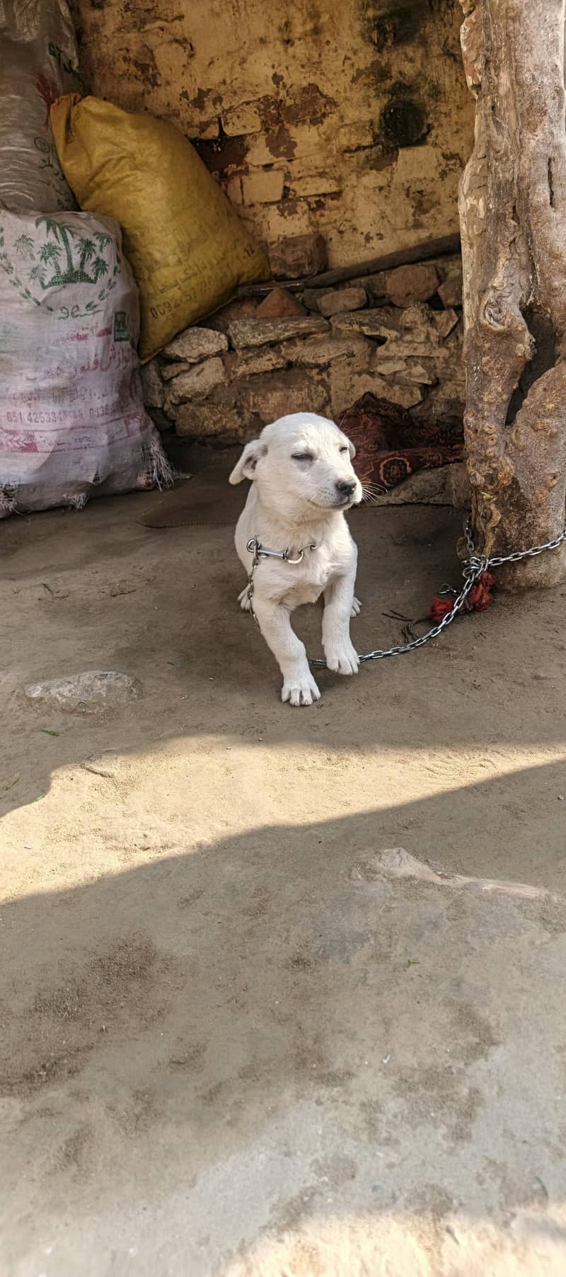 می ہوم problem 4