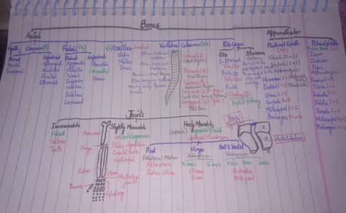 Experienced BDS students offering online classes from class 5 to 12