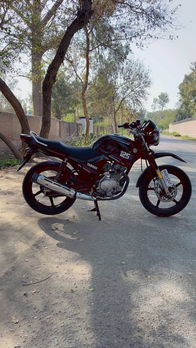 Yamaha YBRG 2023 Brand New Condition