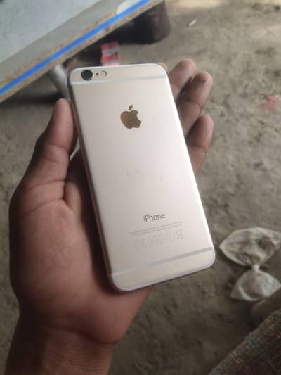 Whatsapp number 03186462480