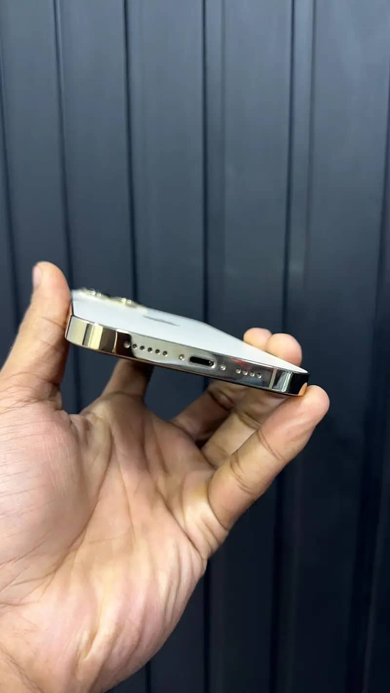 Apple iPhone 13 Pro Max 1